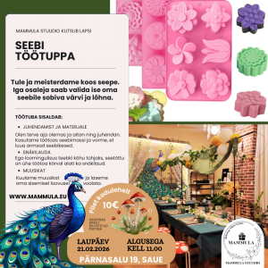 Seebi töötuba lastele