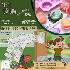 Seebi töötuba (KOOLIVAHEAJA ERI!)